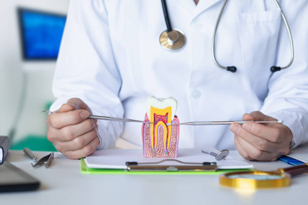 Best Emergency Dental Care for Broken or Chipped Teeth in Redwood, TX
